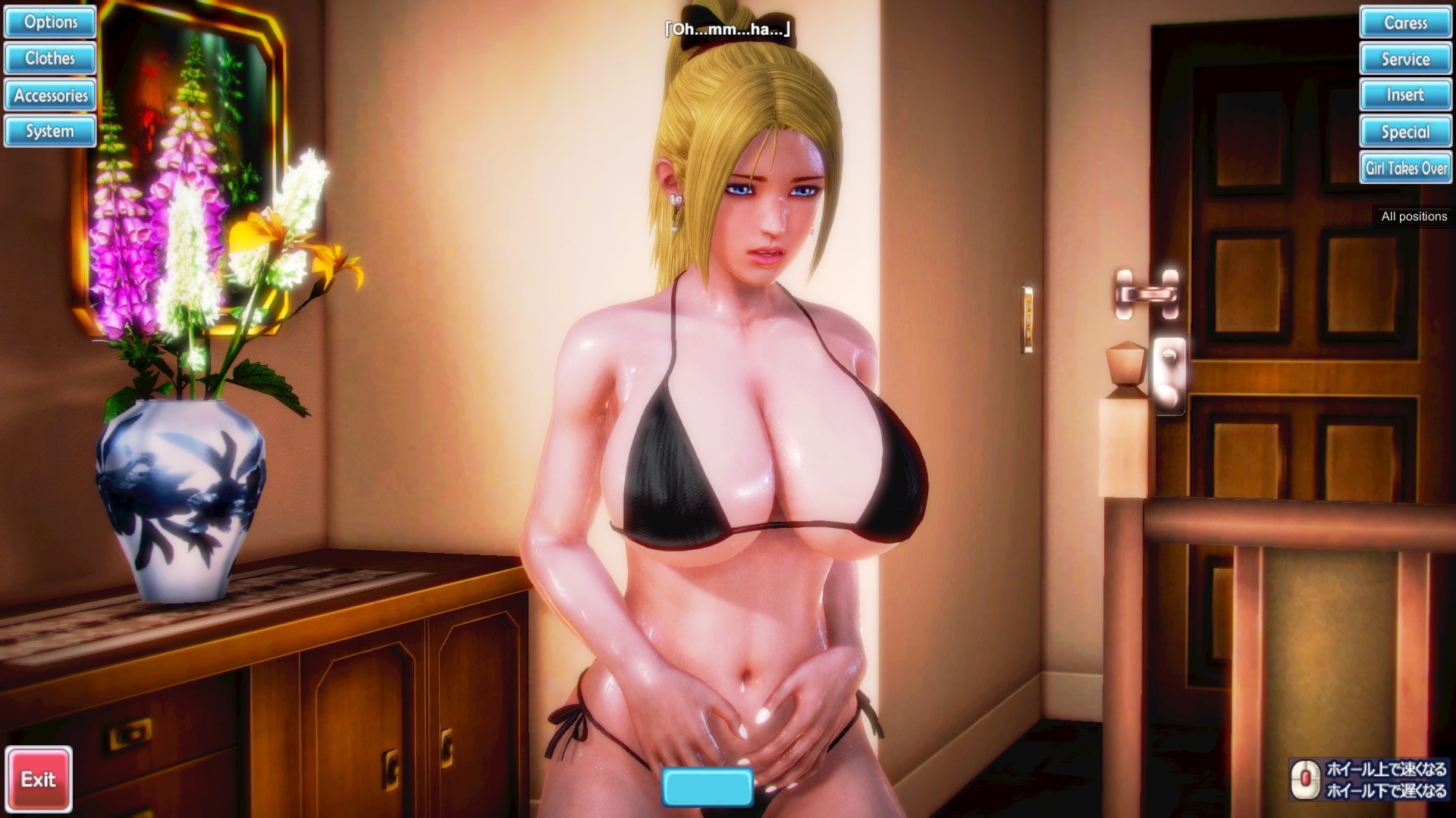 honey select party english free download